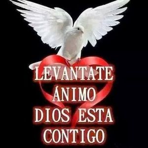 Meet your Posher, Carolina